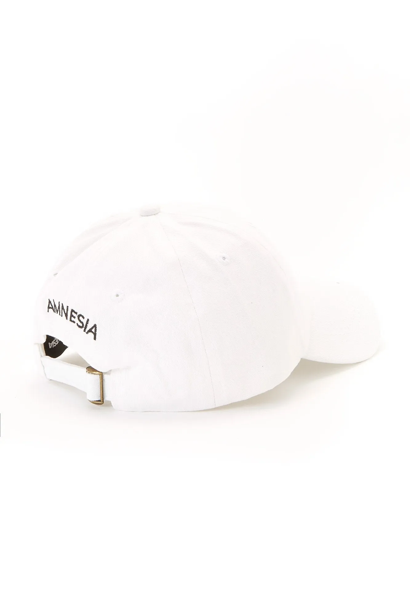 Amnesia Hotdog Dad Cap