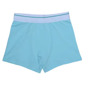 Boys Boxers c.410 Light Blue and Gray