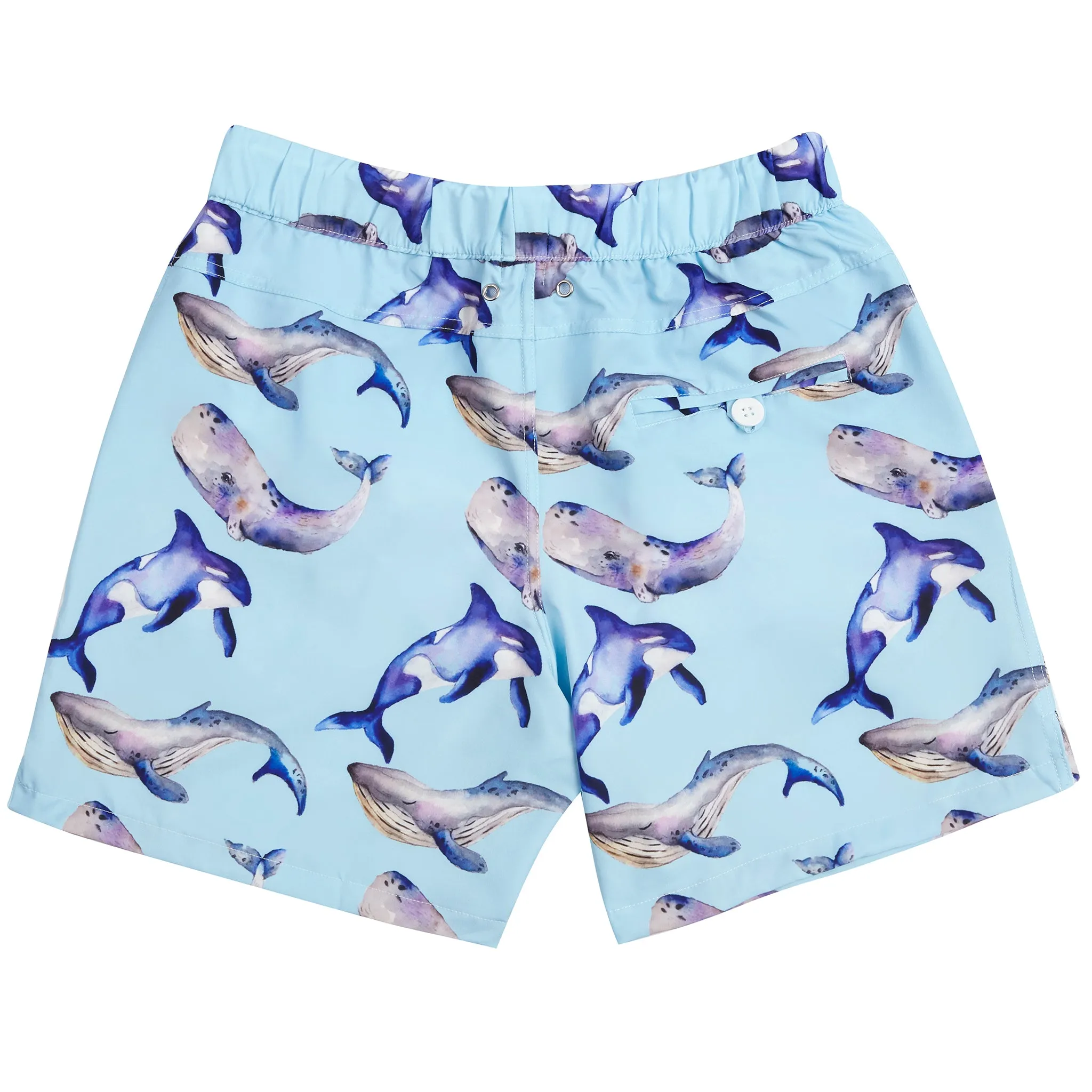 Whales Men's Boardshorts